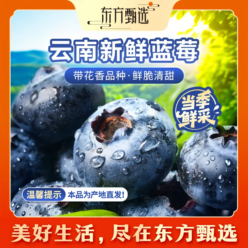 东方甄选自营云南蓝莓清甜细腻多汁当季新鲜水果时令生鲜坏果包赔