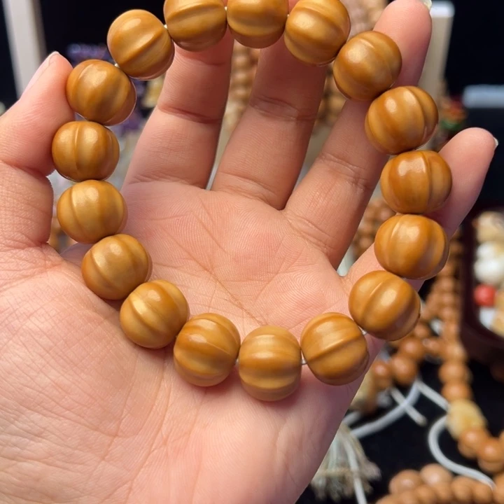 原皮原色四花鲨鱼15+