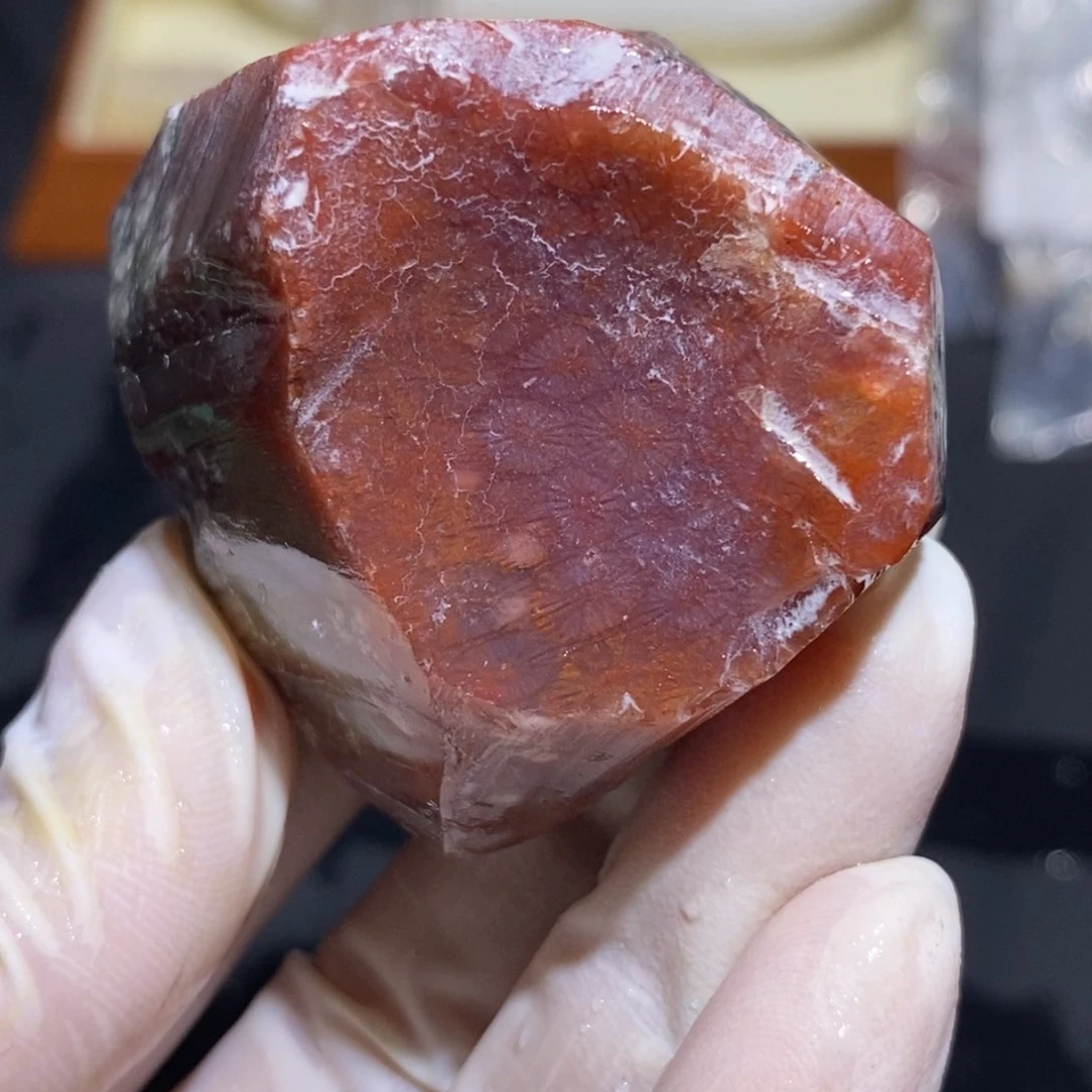 【闪购商品】未镶嵌珊瑚玉硅化玉