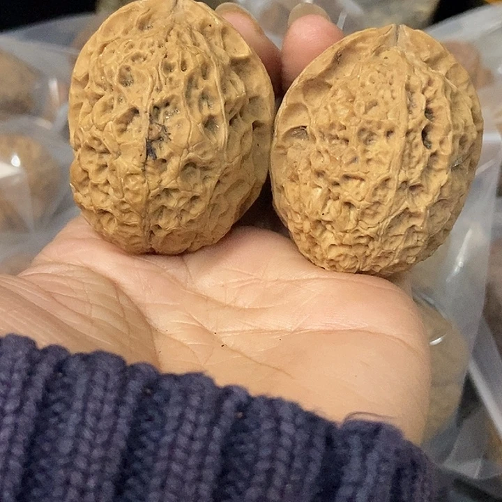 文玩核桃把件云南铁核桃基地40