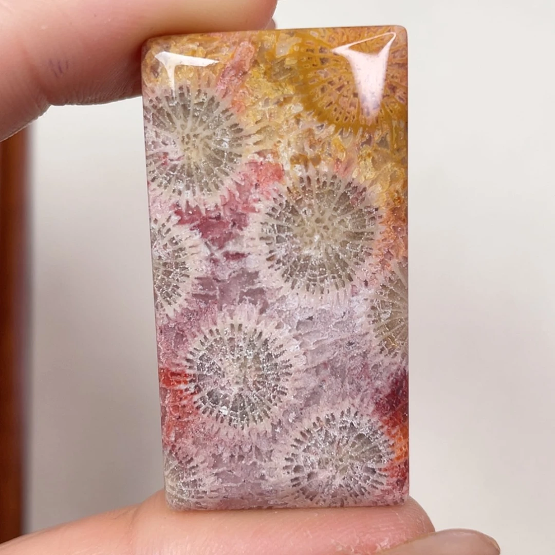 【闪购商品】未镶嵌吊坠(赠链)硅化玉