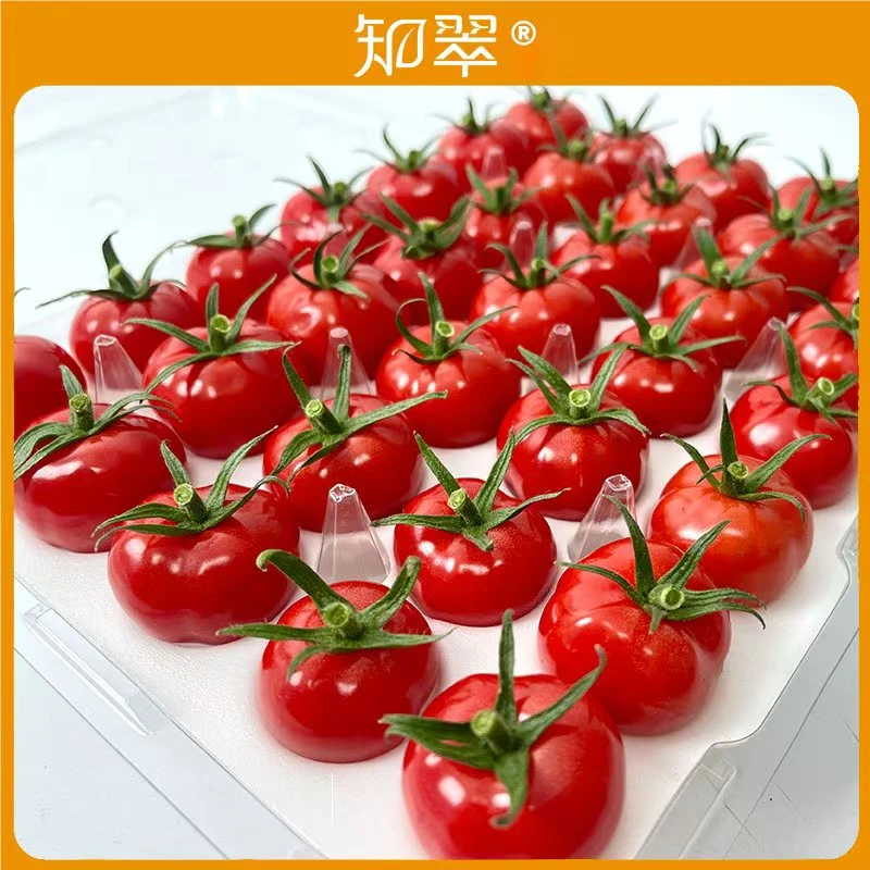 【知翠】首农翠湖工场天使之唇樱桃小番茄冰激淋口感应季水果西红柿自然成熟568g番茄同城配北京市