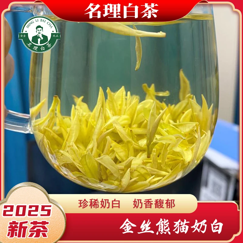 名理白【金丝熊猫】2025新茶奶白黄金芽纯正安吉原产地白茶特级茶礼