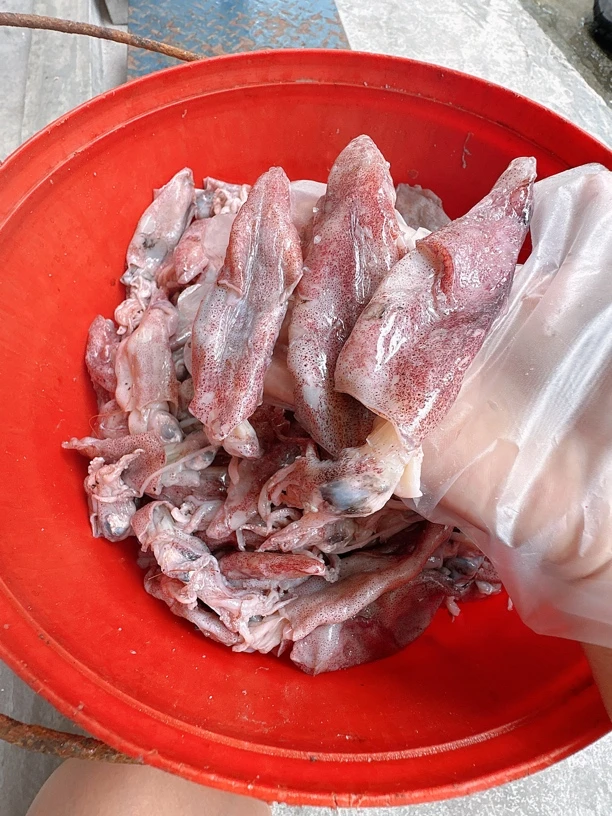 广东汕尾特产咸鱿鱼