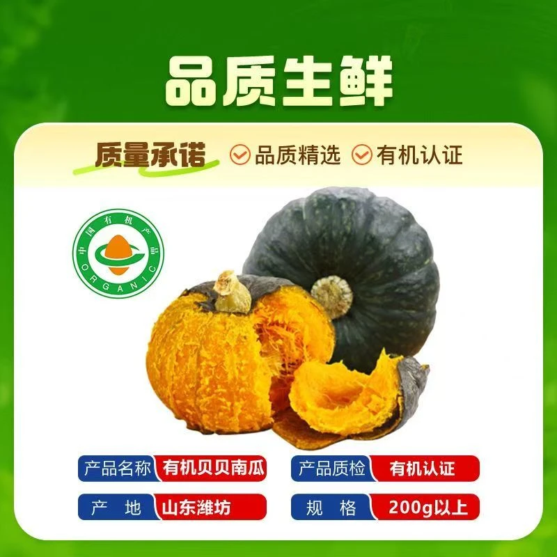 顺丰包邮有机贝贝南瓜粉糯香甜板栗味宝宝辅食
