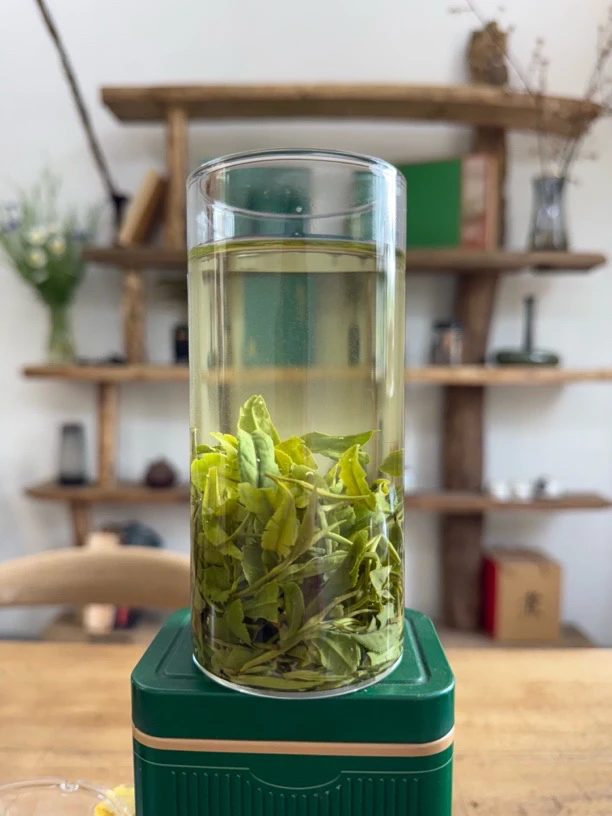 2025信阳毛尖口粮茶谷雨