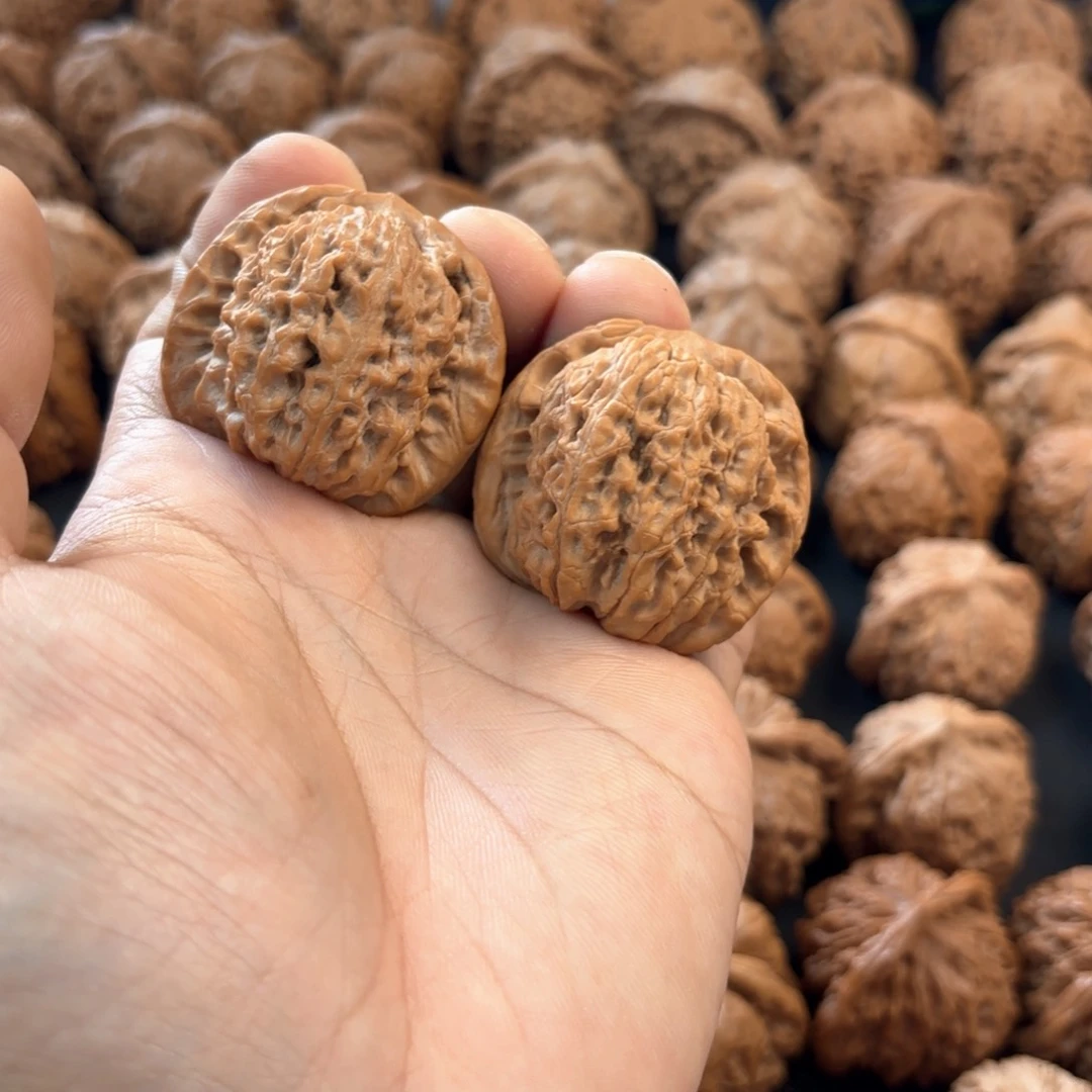 文玩核桃把件吉***斯马老四