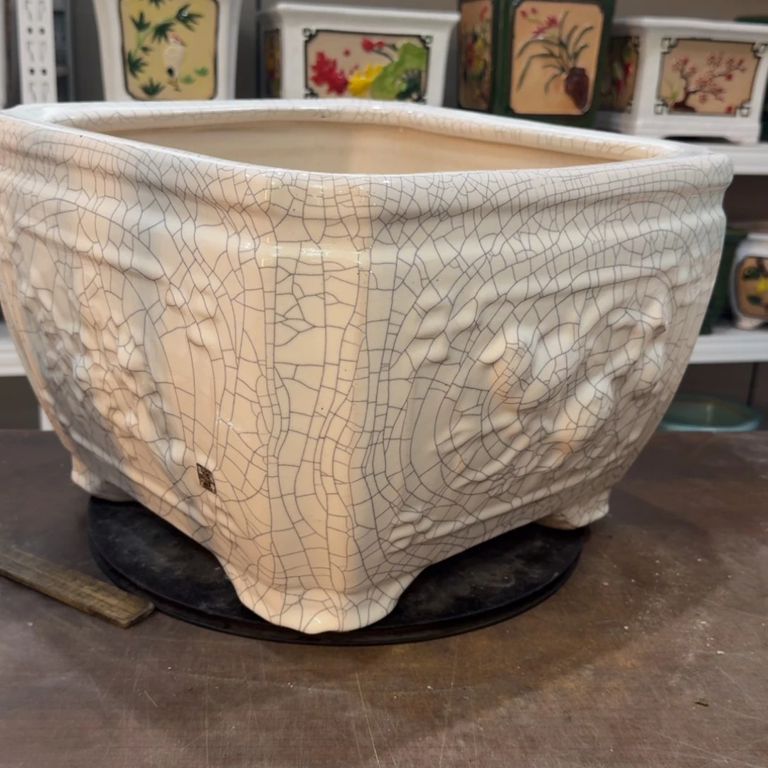 红陶一****）222222222222