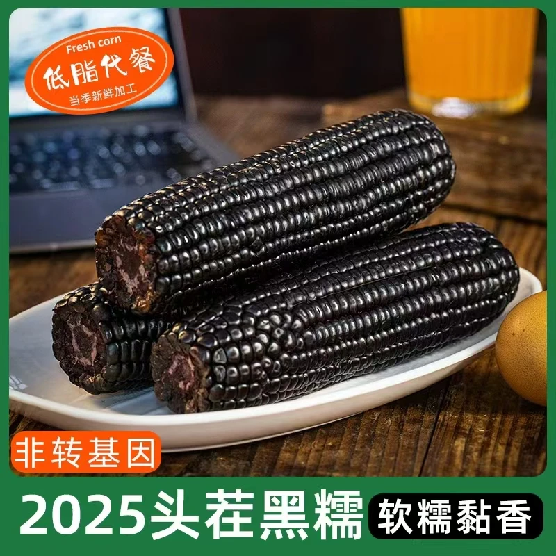 （试吃两根）25年东北头茬黑玉米真空装新鲜富含花青素整箱10根