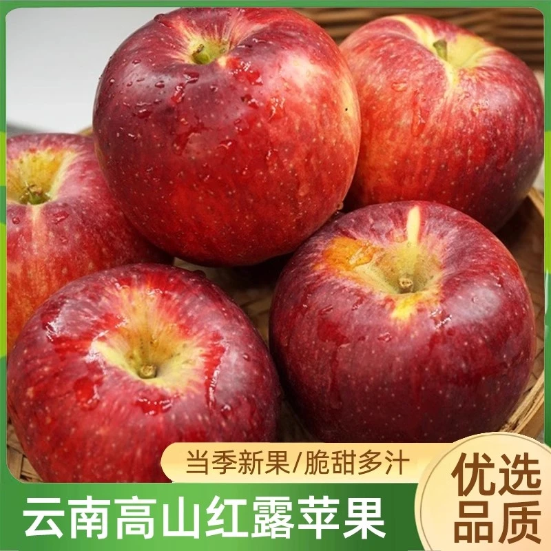 2025现摘云南高原应季红露应季苹果新脆甜多汁纯甜无酸糖心丑苹果