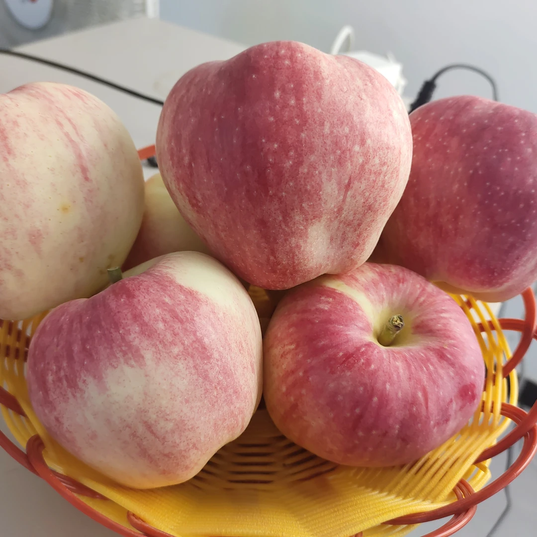 秦安当季水果【世界一】苹果热销中