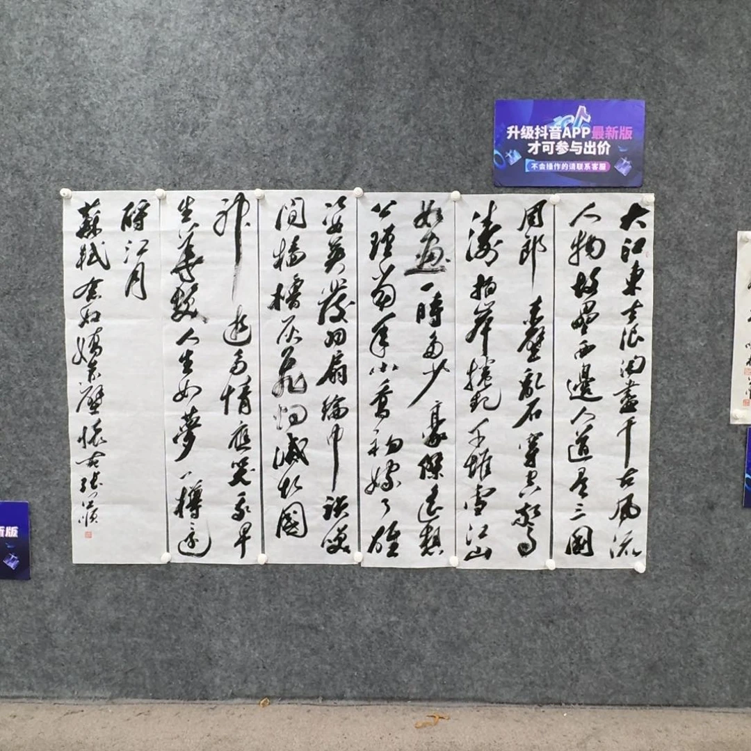 书法书法ZYS书法作品