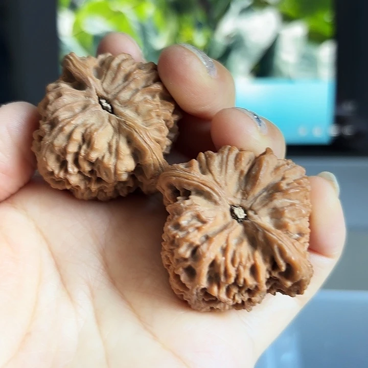 漂***南疆石狮子头一对