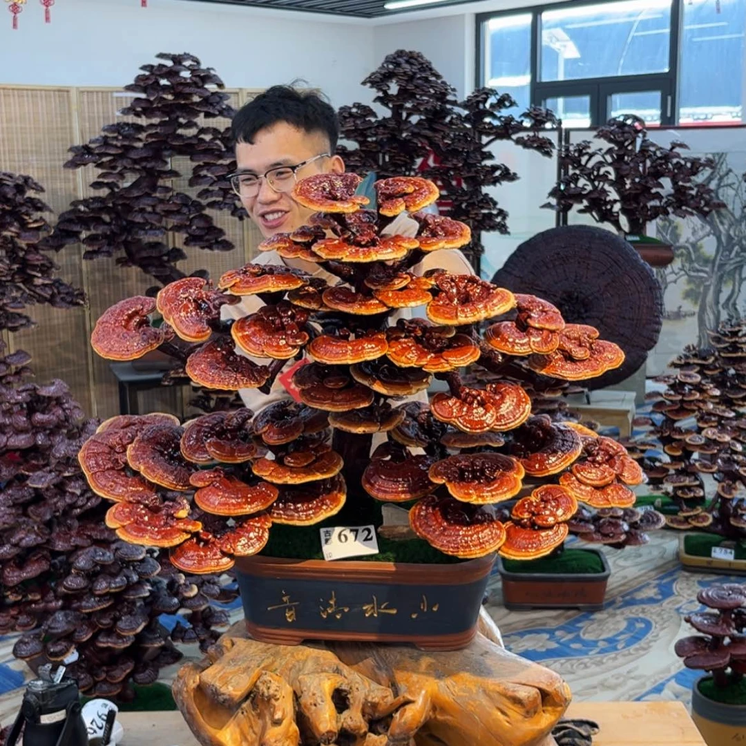 【闪购商品】88888