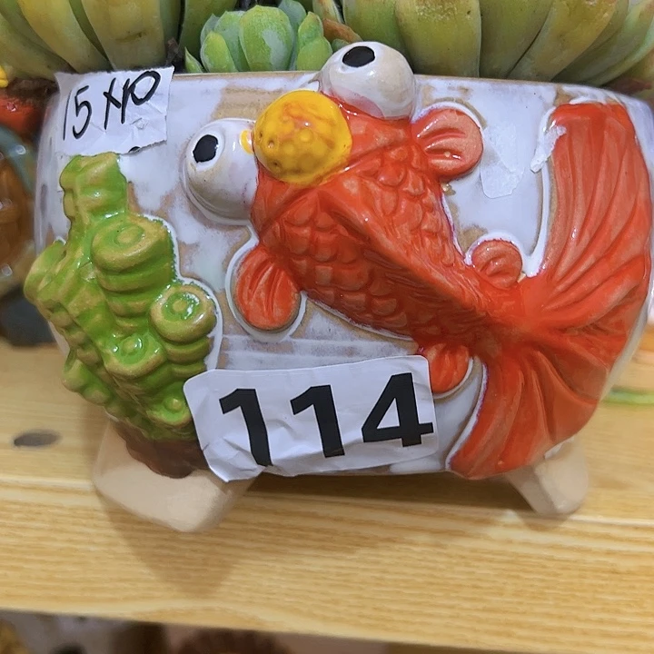 陶瓷多肉花盆满15包邮