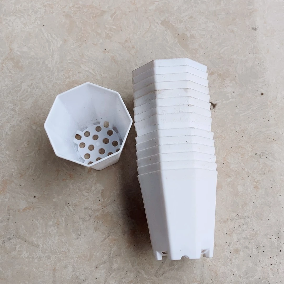 塑料福利款口6小八角白色盆40个无托