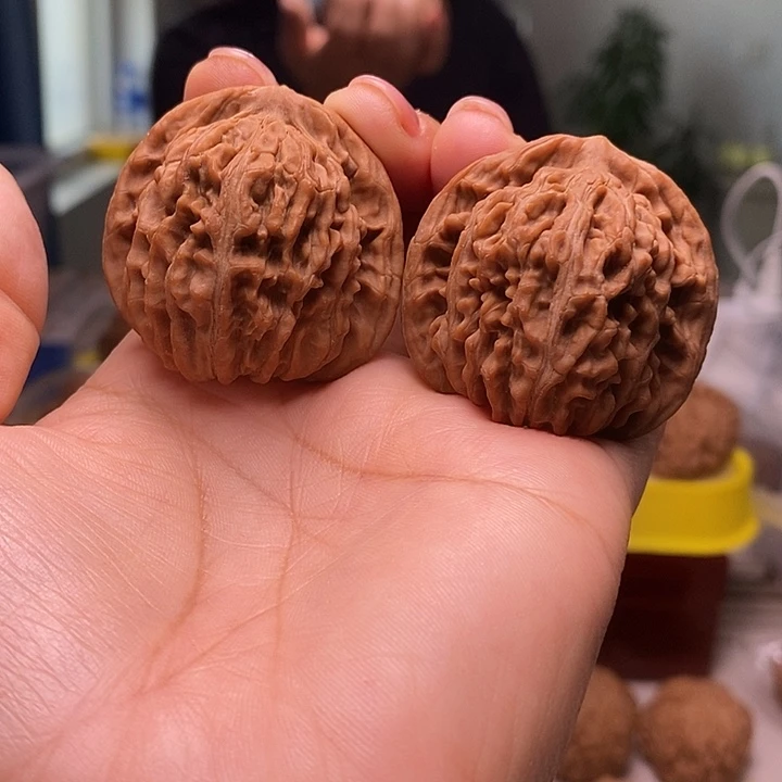 大***胖核桃42尺寸的楼子