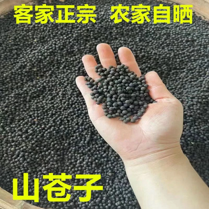 赣南山苍子木姜子枕头填充物农家自采日晒