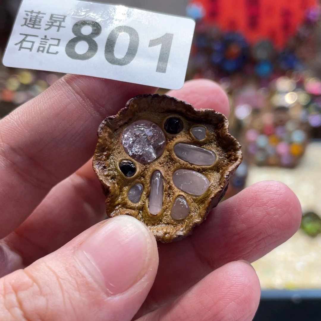 核桃木/黑胡桃（胡桃木）801