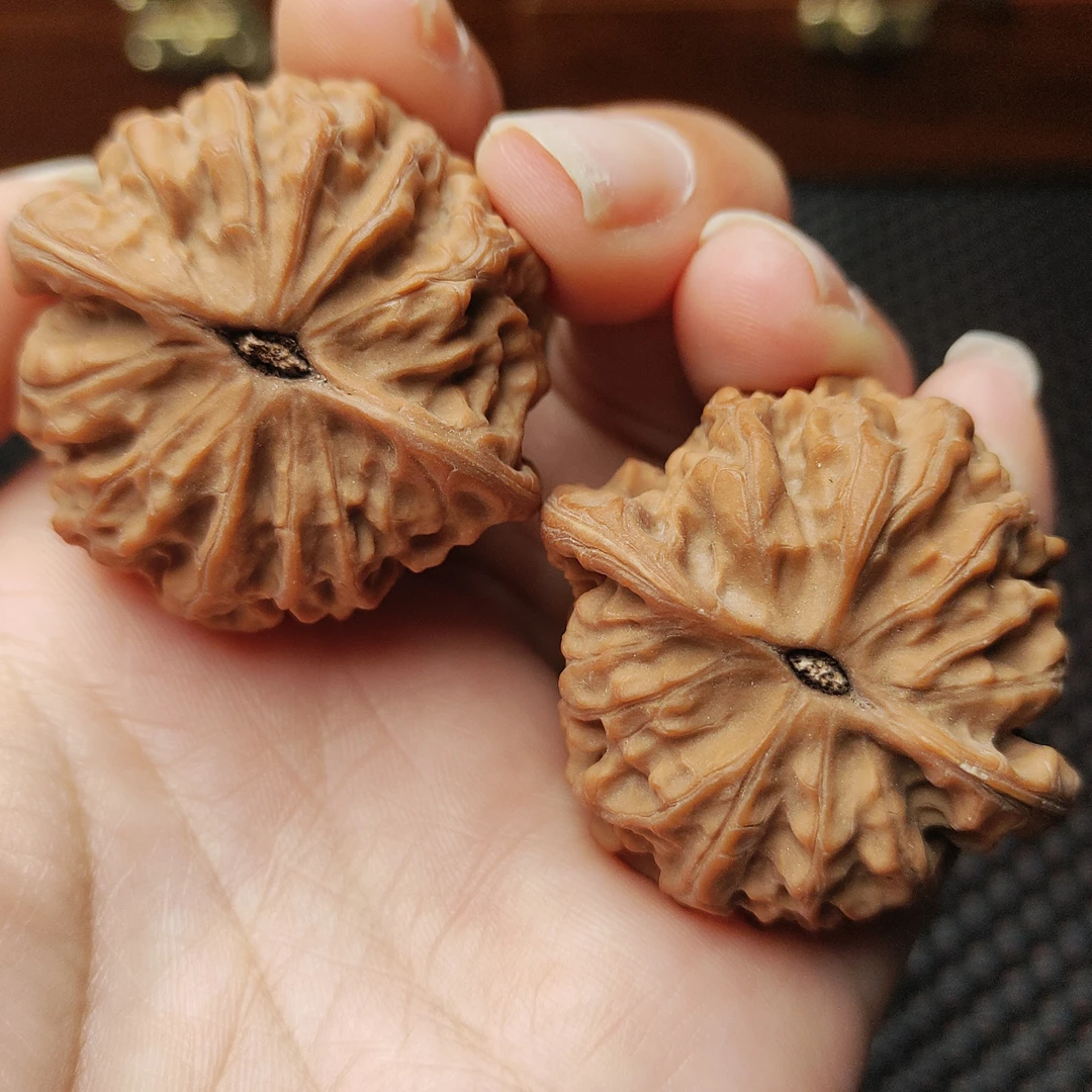 文玩核桃41尺寸全品三角金牛
