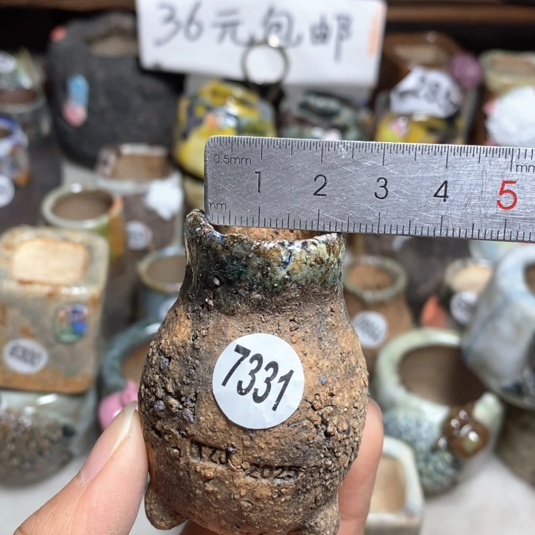 拍3送一个小礼物