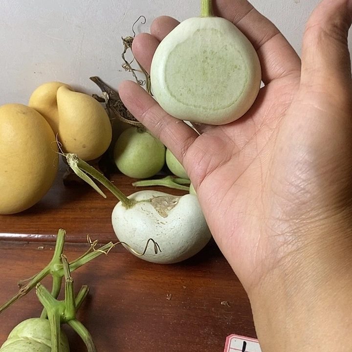 雾***i青皮腰子葫芦手把件葫芦