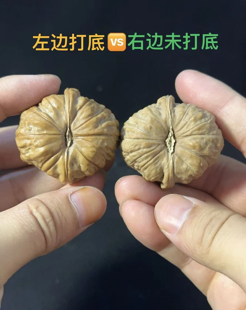 官帽白狮子等核桃打底清理