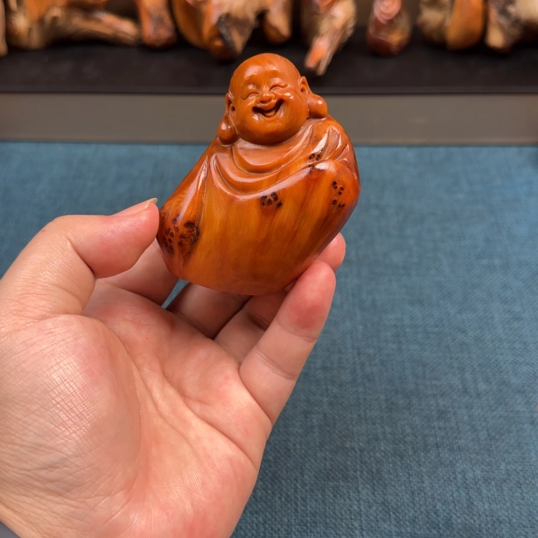 柏木（崖柏）太行崖柏