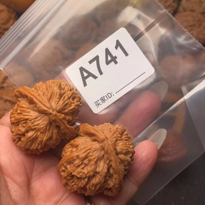 核桃把件白狮子37加741号