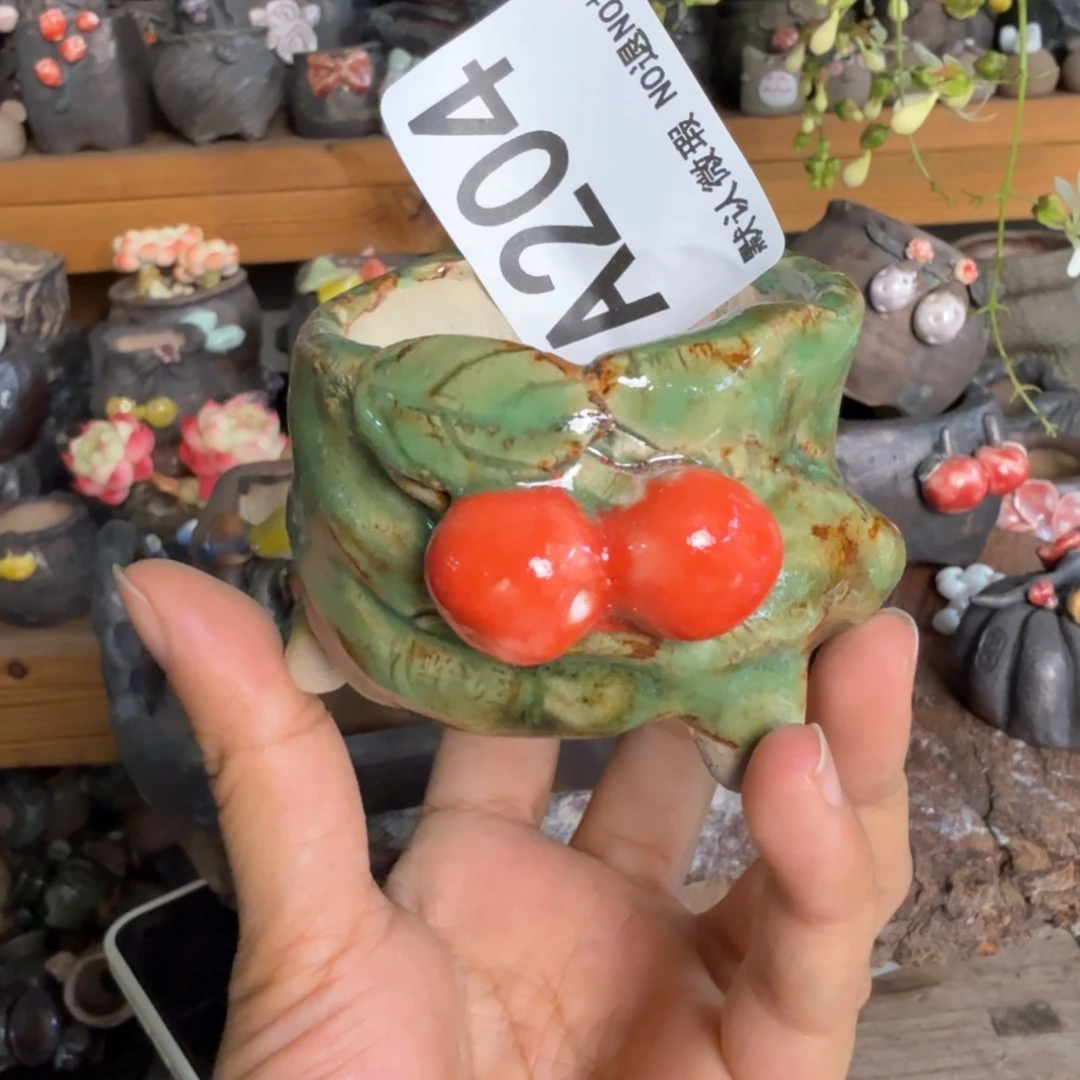重庆小燕子欢迎大家204