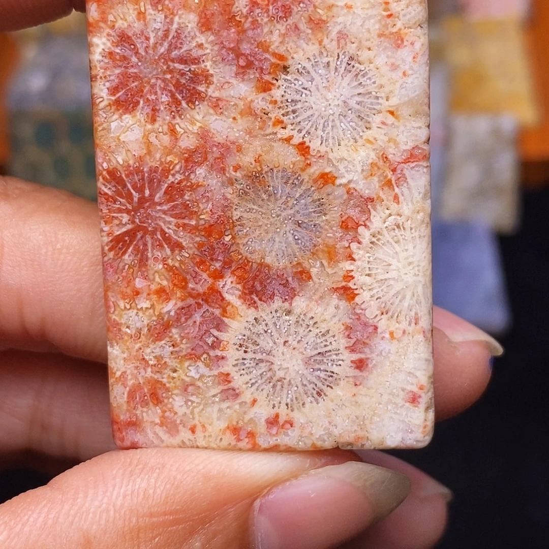 微***风合金珊瑚玉硅化玉