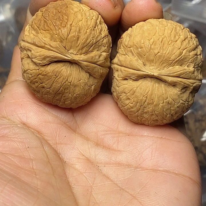 文玩核桃把件云南铁核桃93