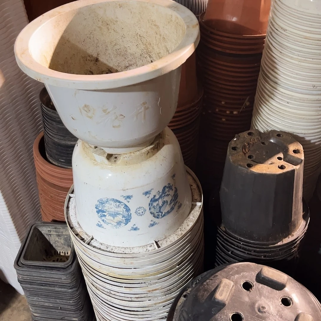 旧口径24高17花开服盆6个