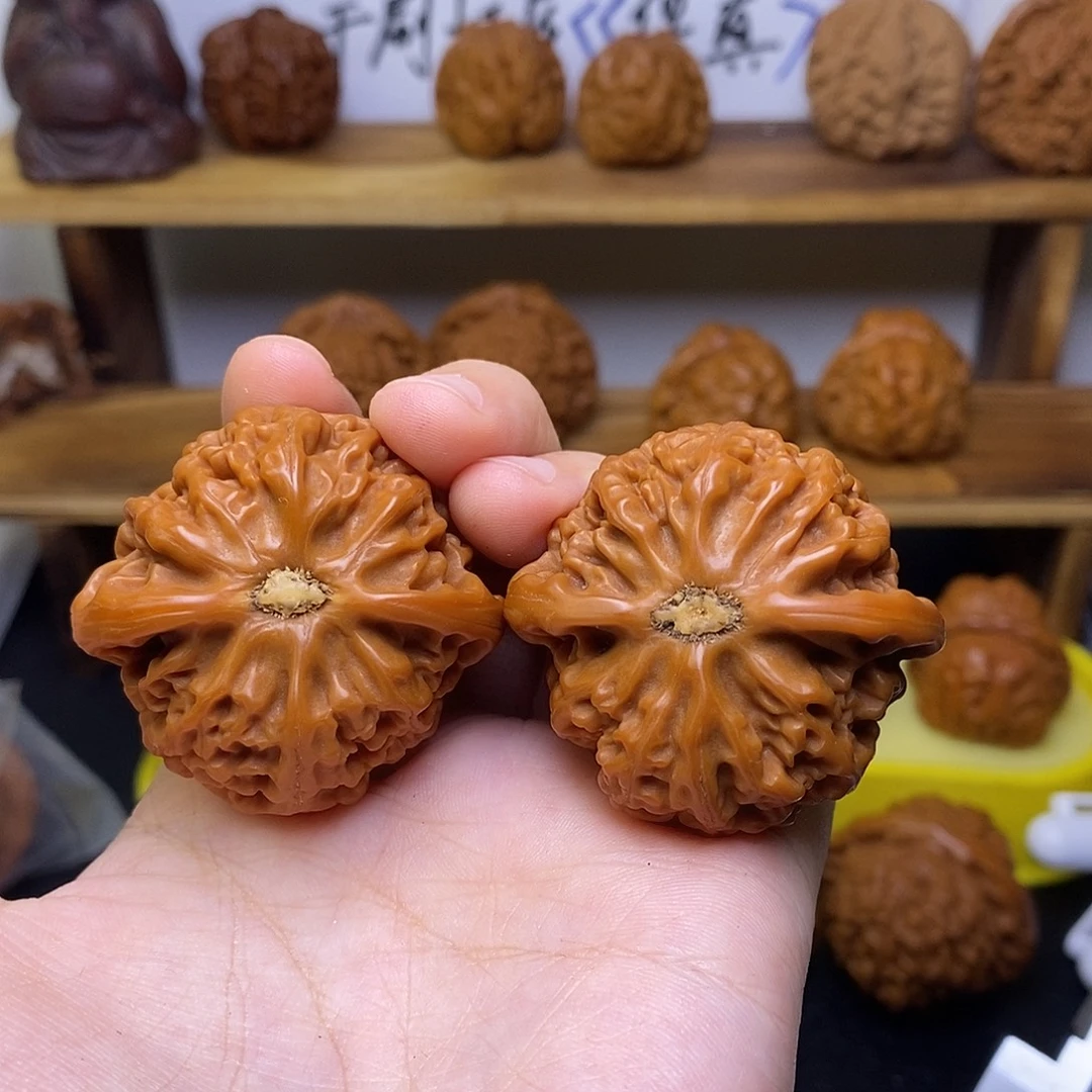 草***猫桃核吊坠宫灯福利