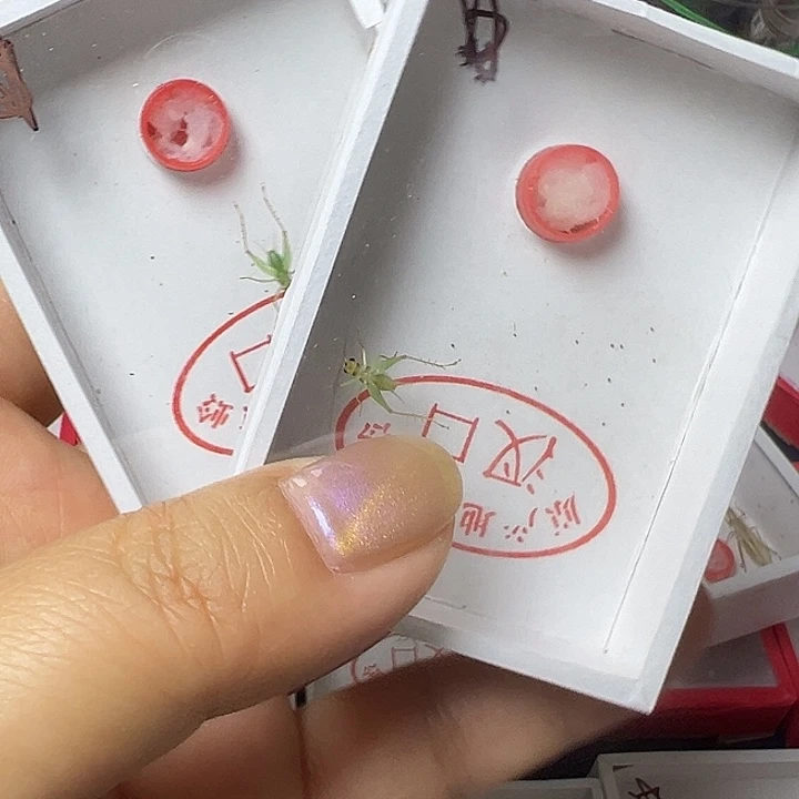 哈哈哈哈哈哈哈哈哈哈