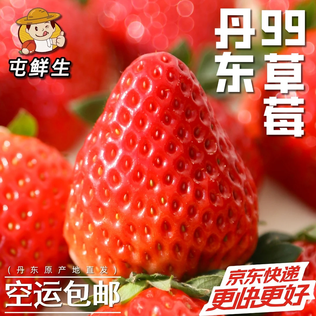【大果】丹东红颜99草莓牛奶大草莓1.5/2.5斤包邮
