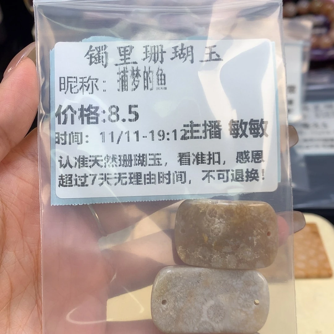 【闪购商品】颈饰未镶嵌硅化珊瑚（珊瑚玉）捕**鱼