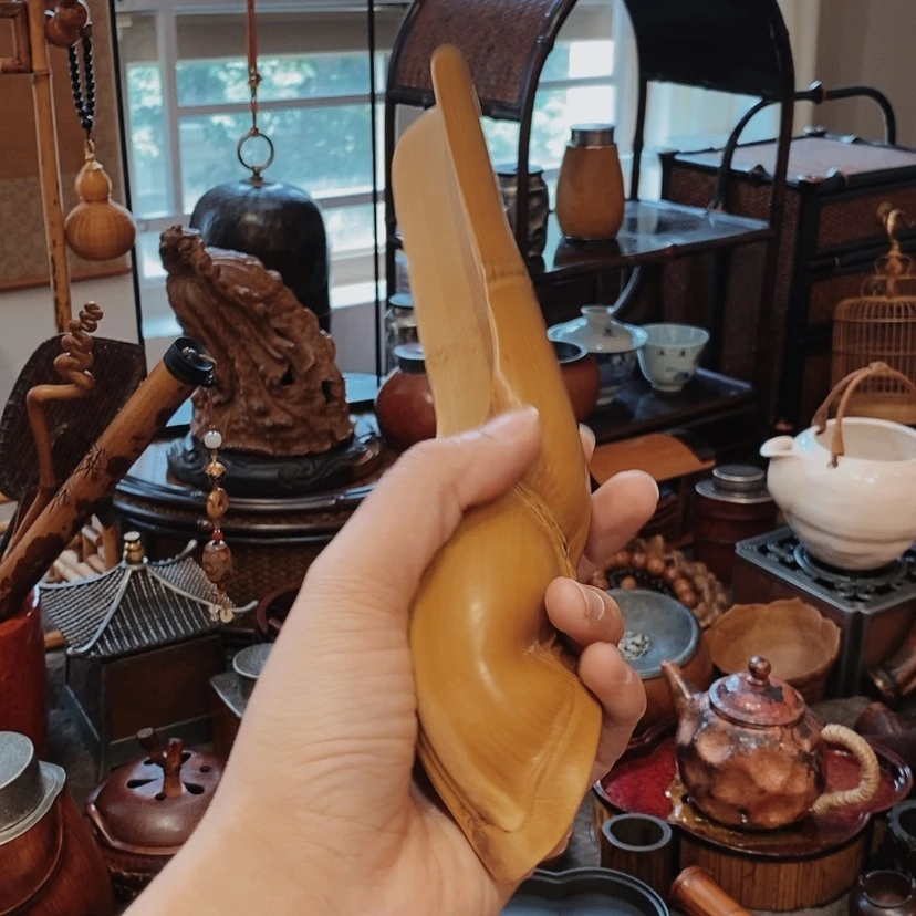 【闪购商品】老龟背竹茶铲
