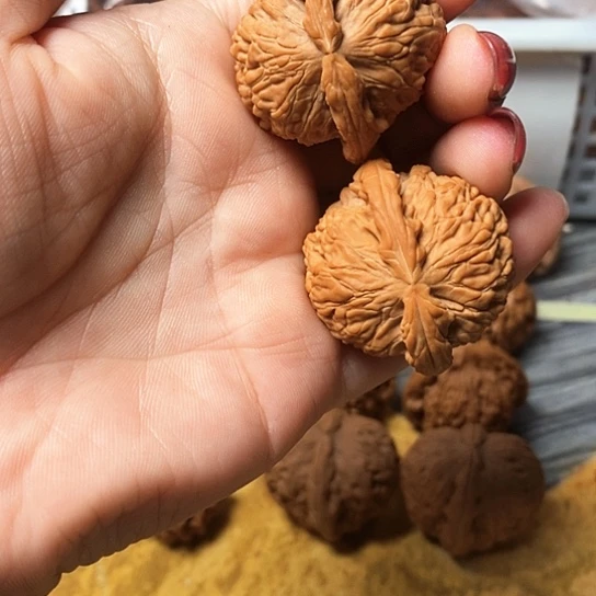 吊坠文玩核桃白狮