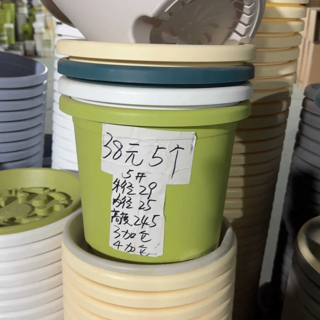 四季5#口径29无拖果绿10个