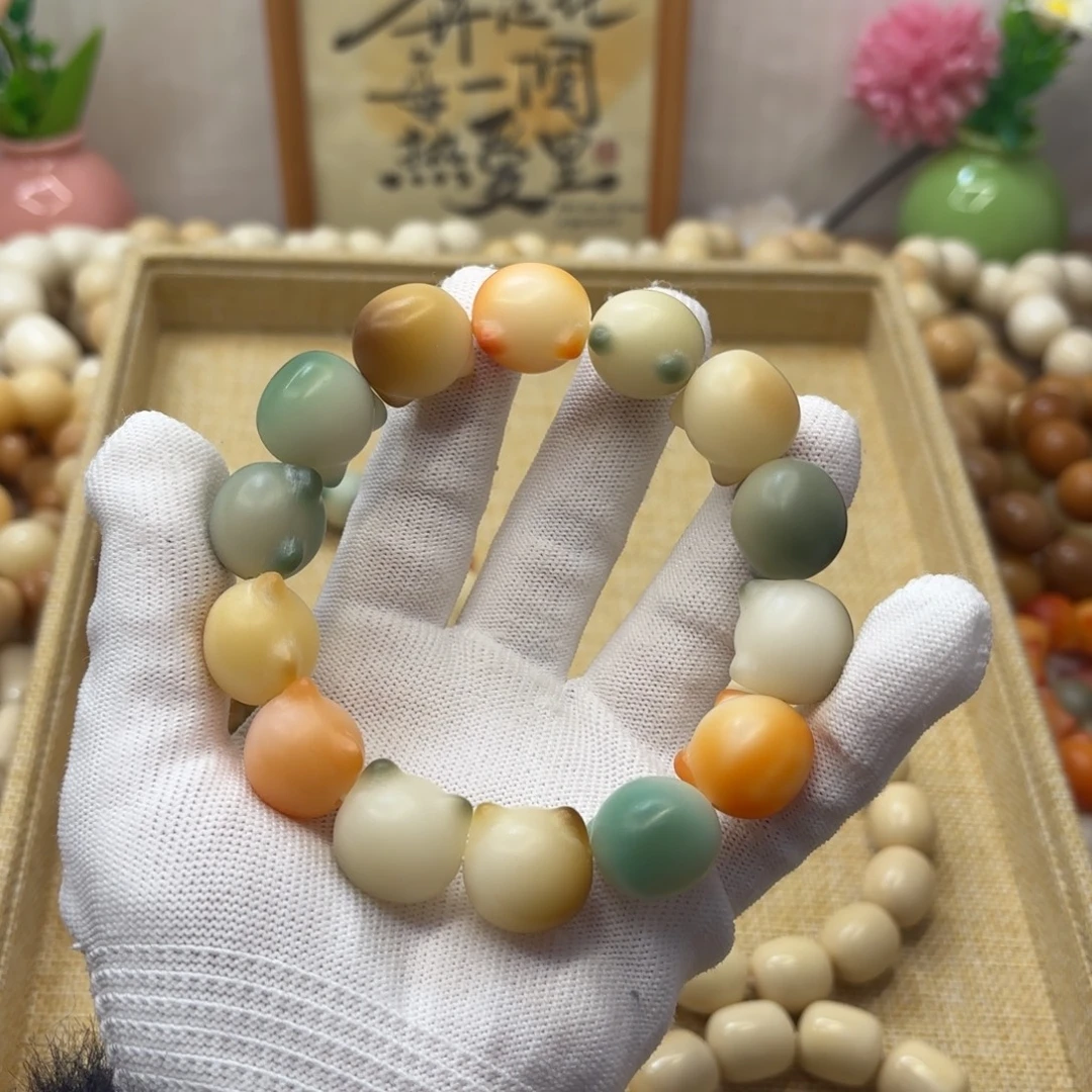 吊坠菩提根/象牙果18干磨微瑕落地果猫头529