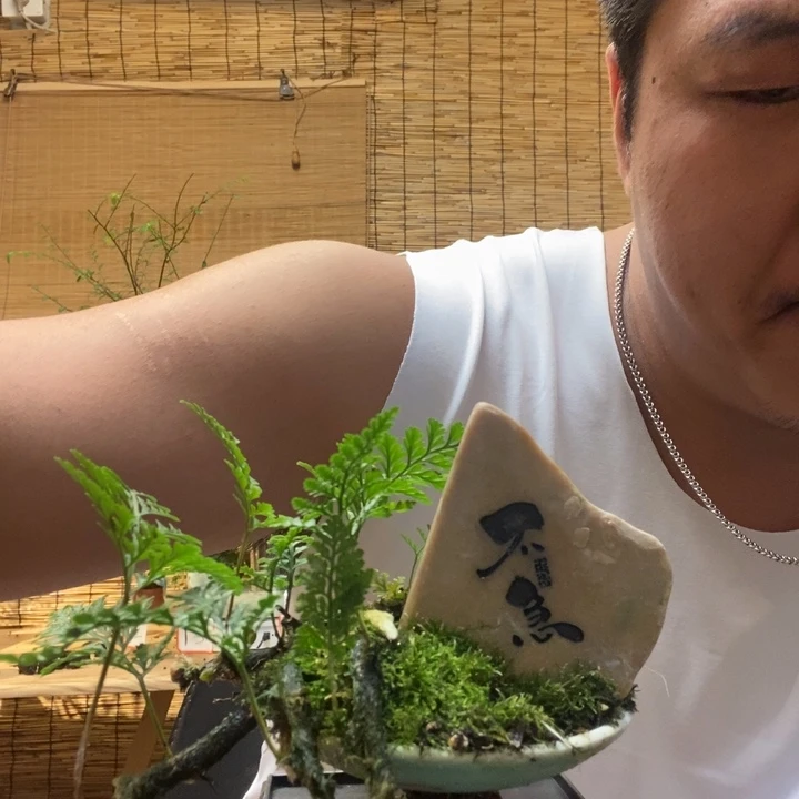 一物一拍所见即所得569