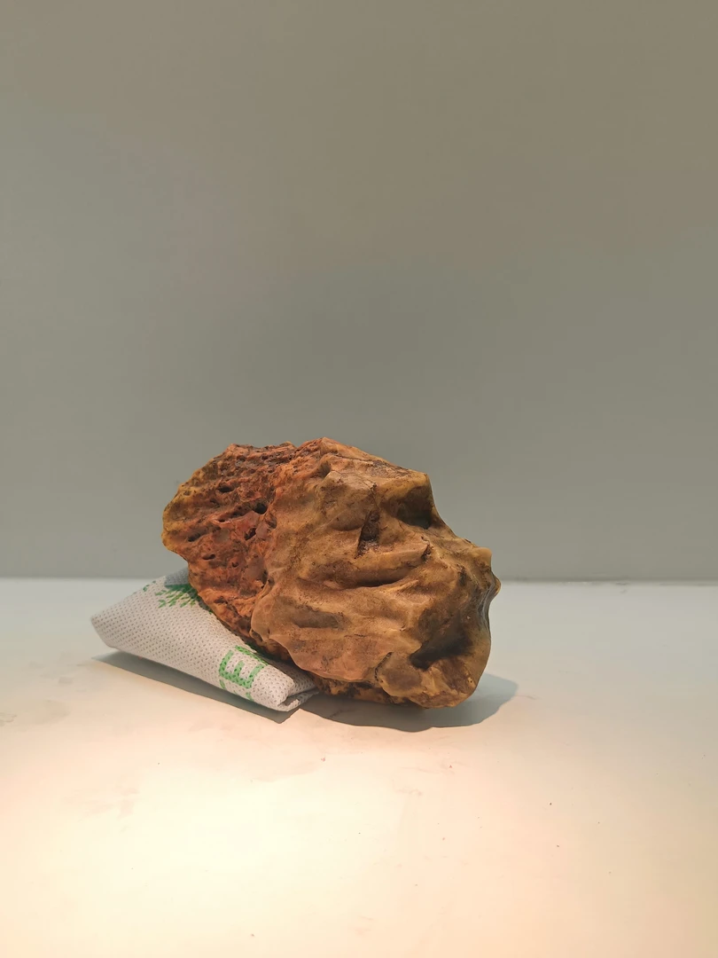 戈壁石象形石人头