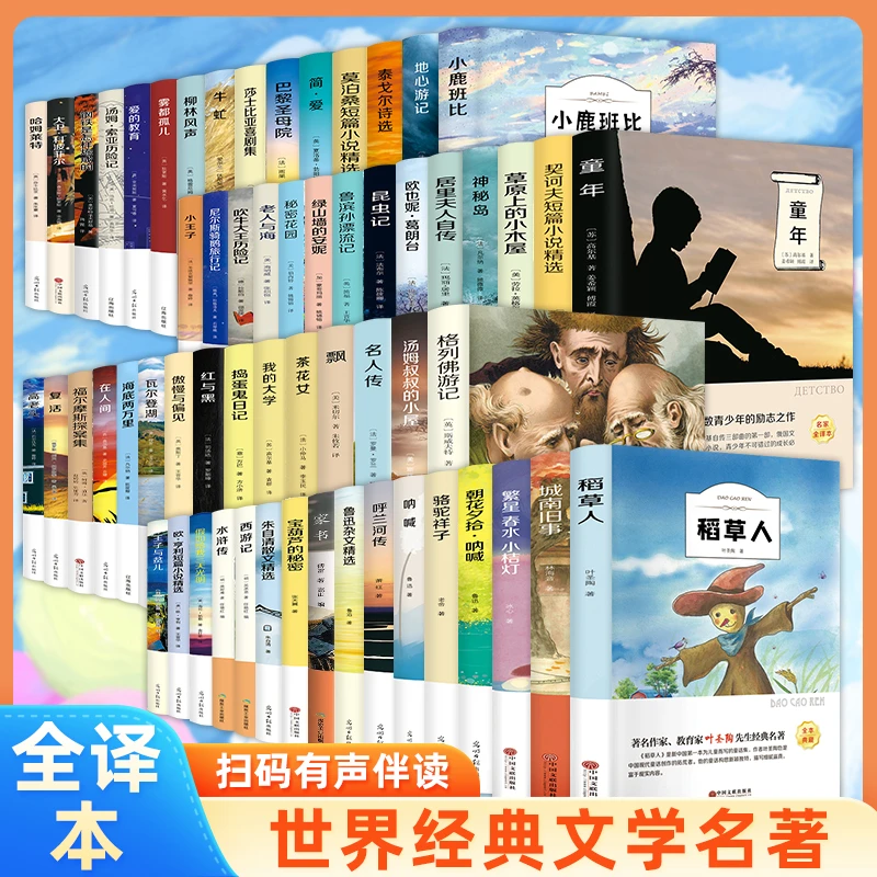 傲慢与偏见柳林风声小王子巴黎圣母老人与海名著外国文学正版书
