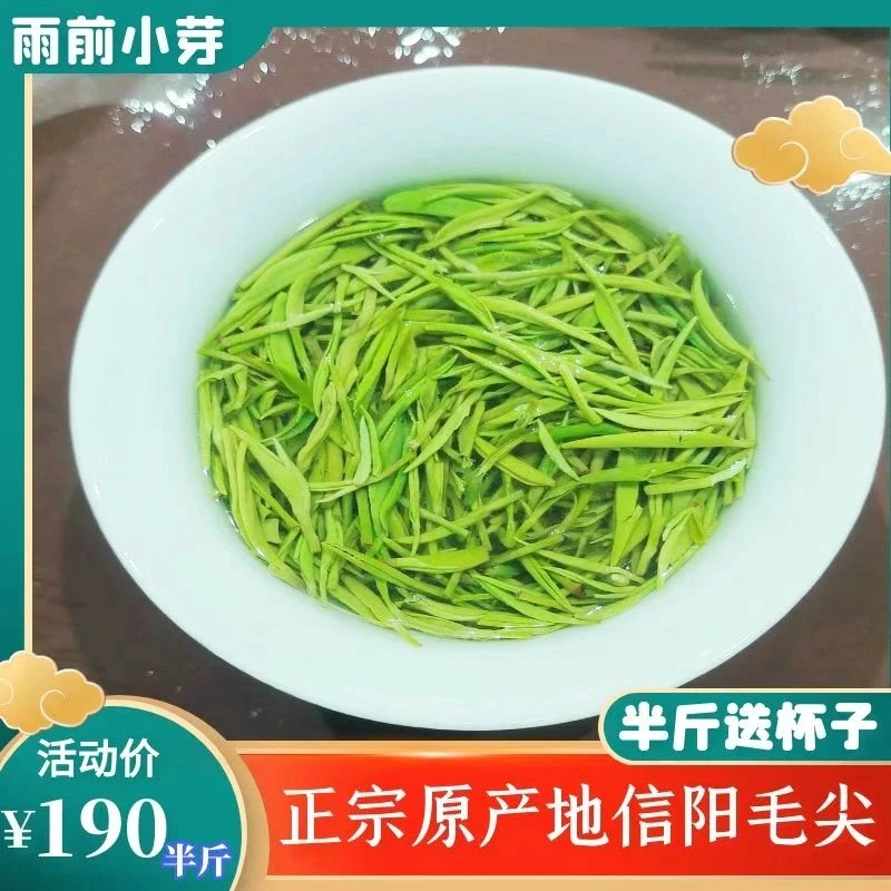 雨前嫩小芽浓香型高颜值新茶毛尖绿茶信阳毛尖茶信阳毛尖2025茶叶