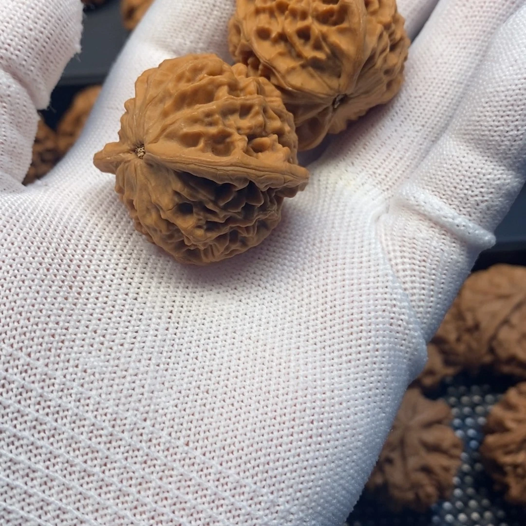 老***甜手串/手链核桃秦岭森林中发现两座