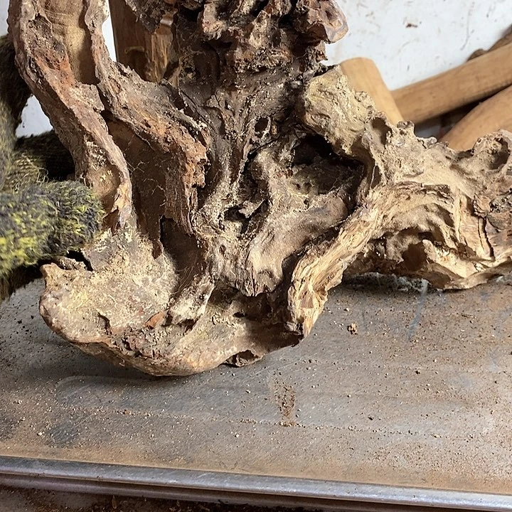 黄花梨/降香黄檀蓝**钓