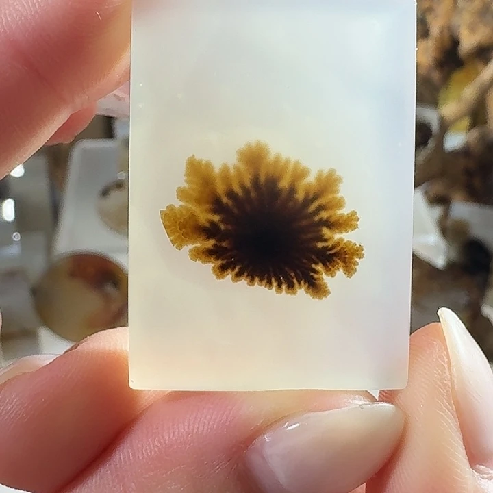 玛瑙/玉髓未镶嵌珠宝奇石