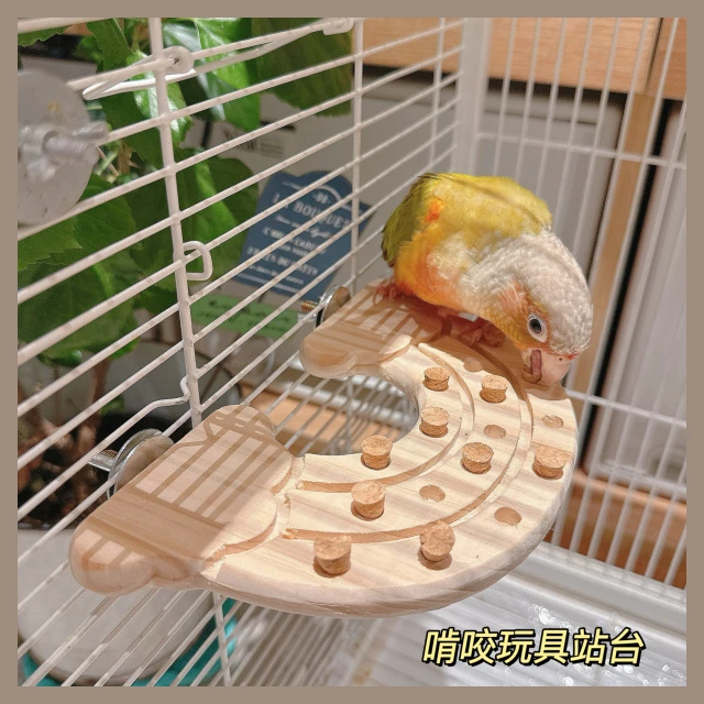 质杆原木木塞跳台啃咬玩具天然玩具解压发泄磨嘴鸟站台站鹦鹉鹦鹉