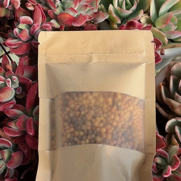 缓释肥老庄多肉植物